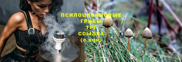 соль ск Алексеевка