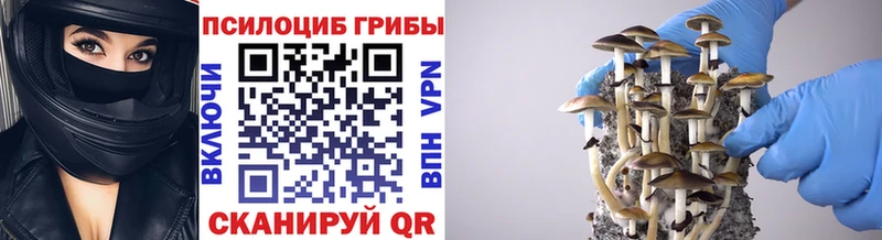 Псилоцибиновые грибы прущие грибы Десногорск