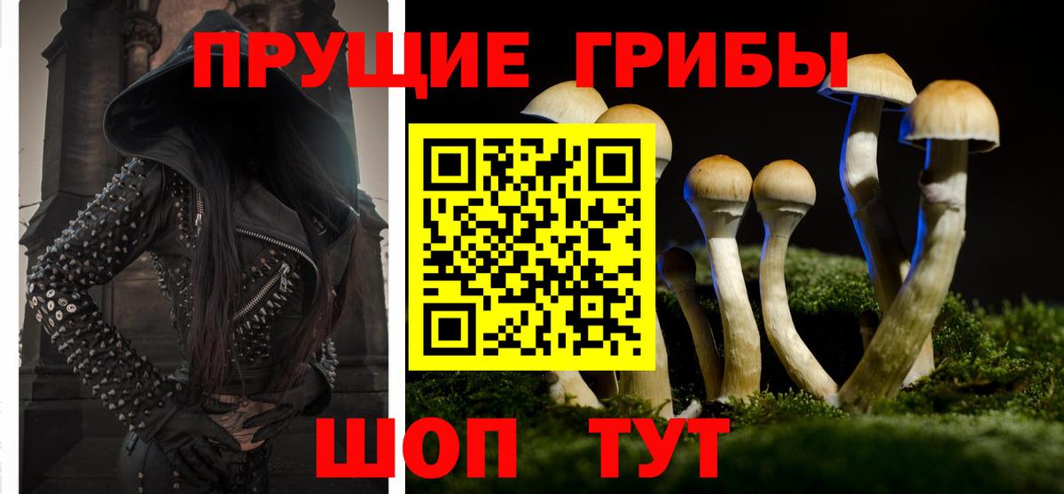 Псилоцибиновые грибы MAGIC MUSHROOMS  Вход с VPN  Десногорск 
